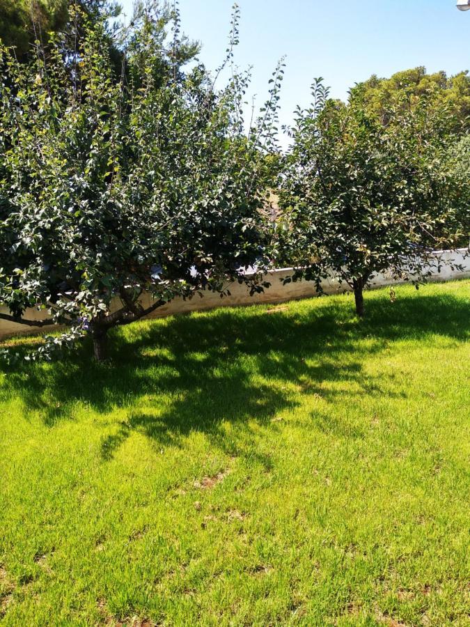 House Of Silence Apartamento Trogir Exterior foto