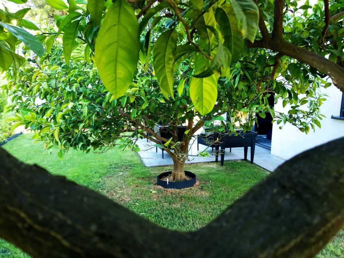 House Of Silence Apartamento Trogir Exterior foto